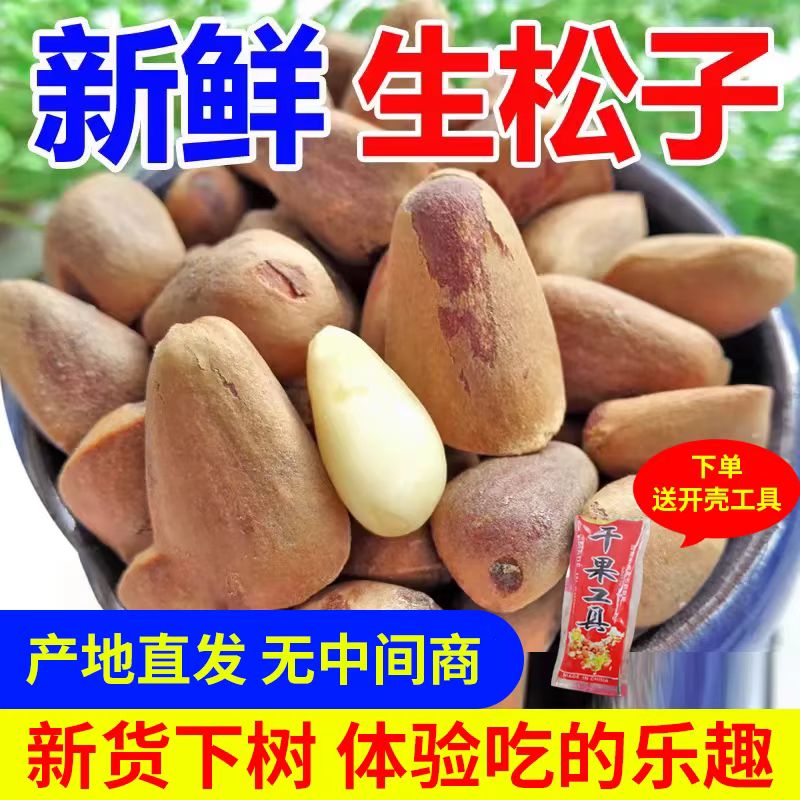 东北新鲜生松子野生新鲜松子