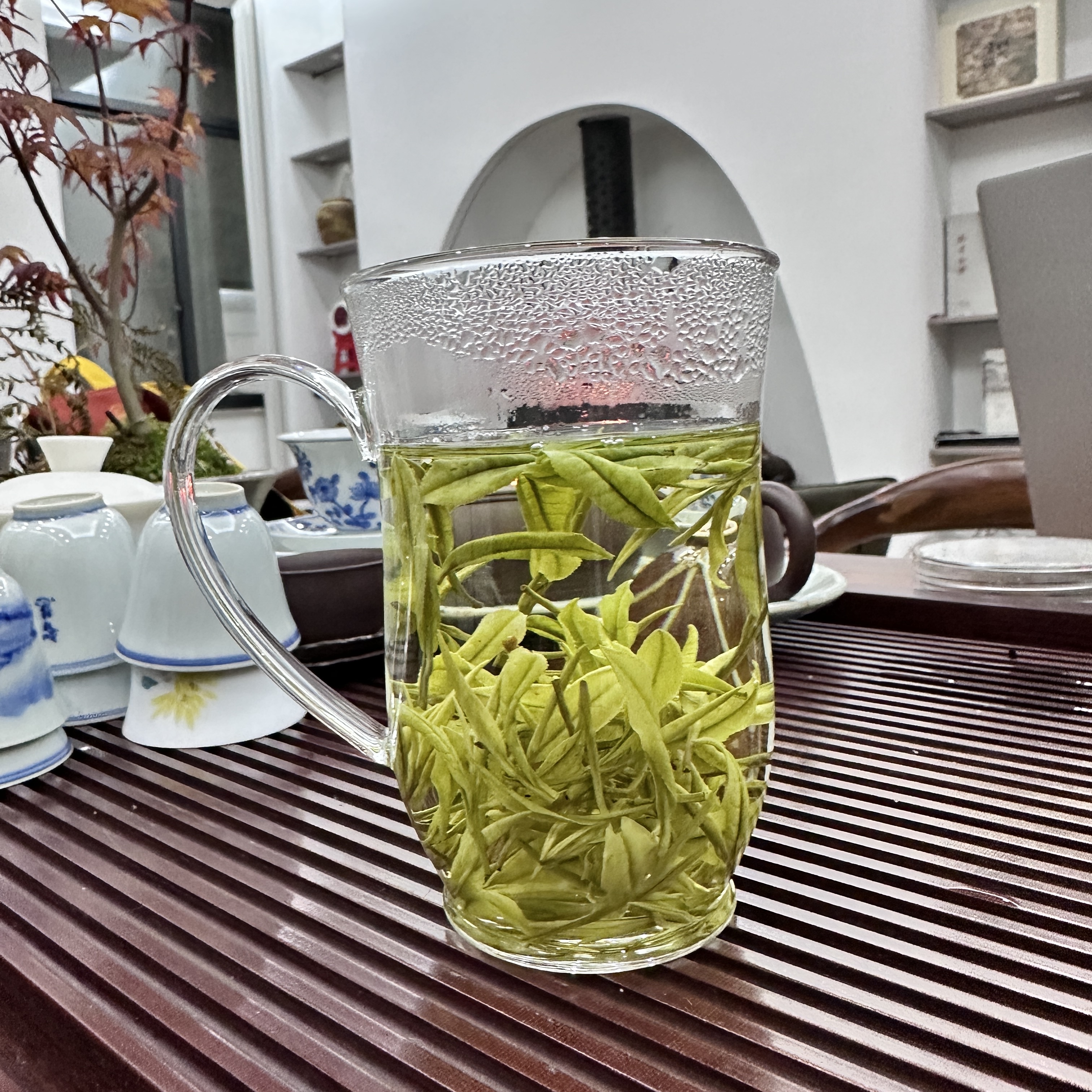 正宗黄杜安吉白茶口粮茶高山茶24年兰香馥郁鲜爽甘甜原产地绿茶