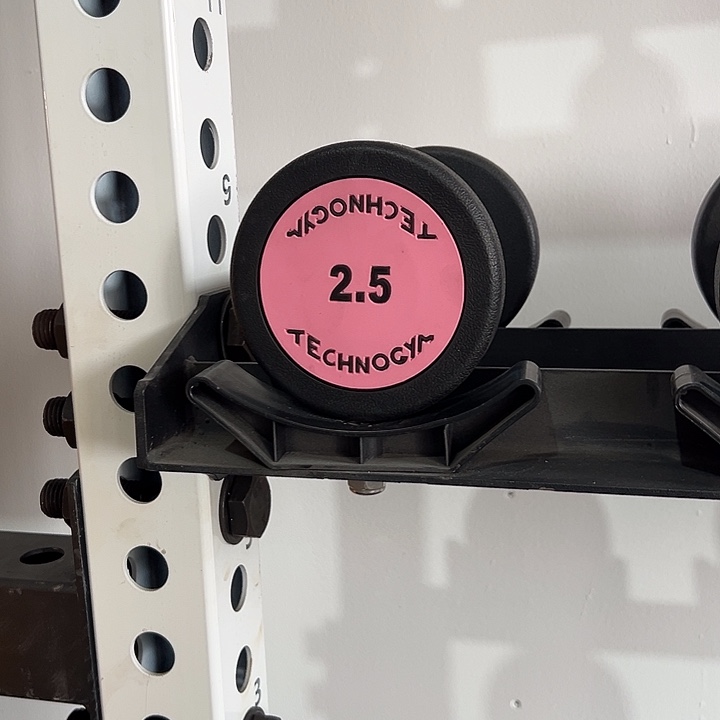 全新纯钢泰诺哑铃2.5公斤一对粉色