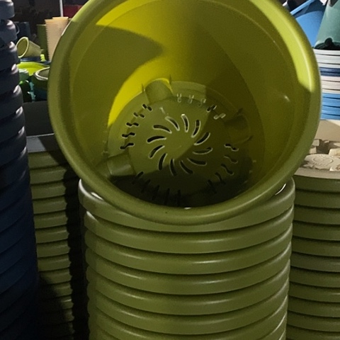 树脂特价5号无托果绿10个