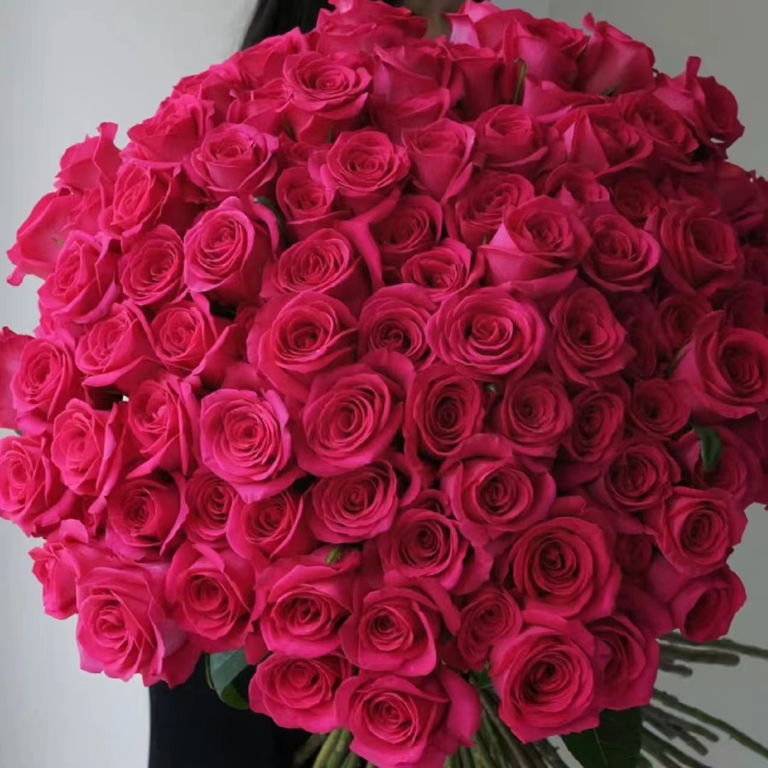 氧花季 佛洛伊德玫瑰18支+2支防损 收到先醒花 拍2单升级快递