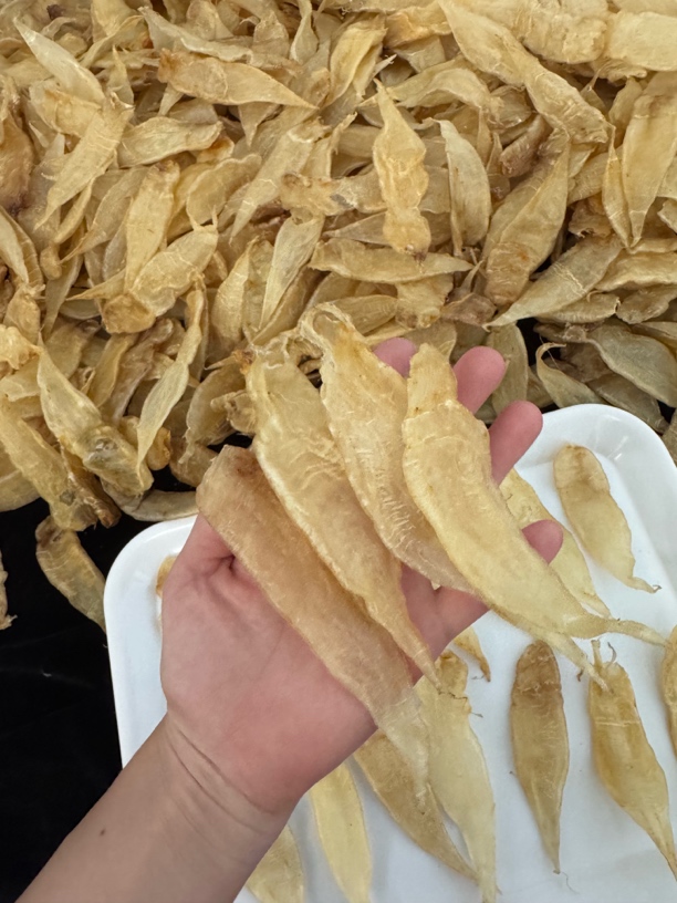 广东汕头各种鱼胶1-500g
