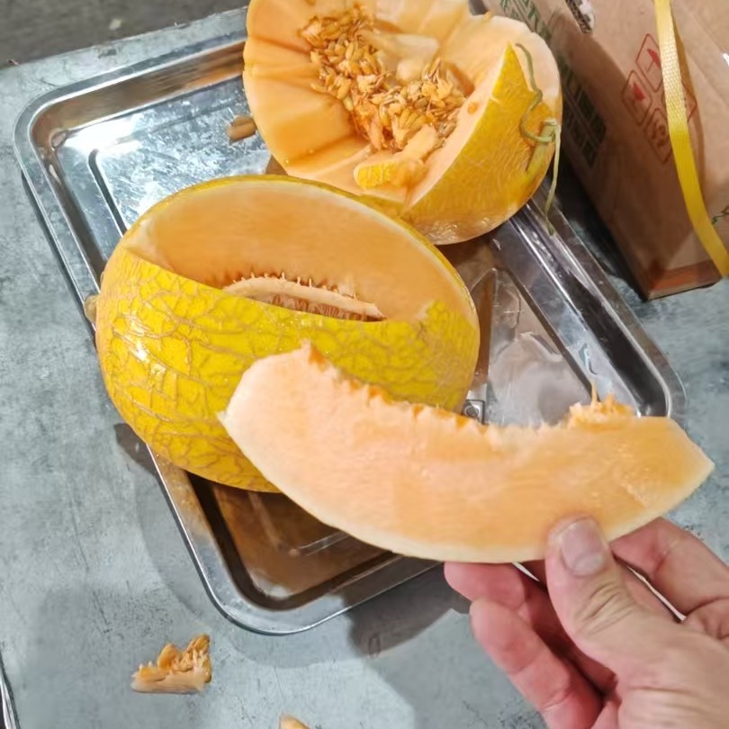 新彊火焰山黄哈密瓜4-5斤新疆维吾尔自治区