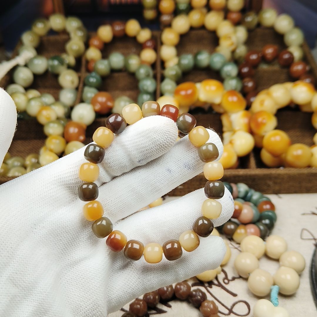 菩提根/象牙果手串B19