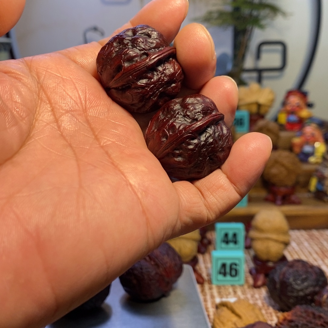 吉***祥龙脊菩提吊坠七彩鹦鹉