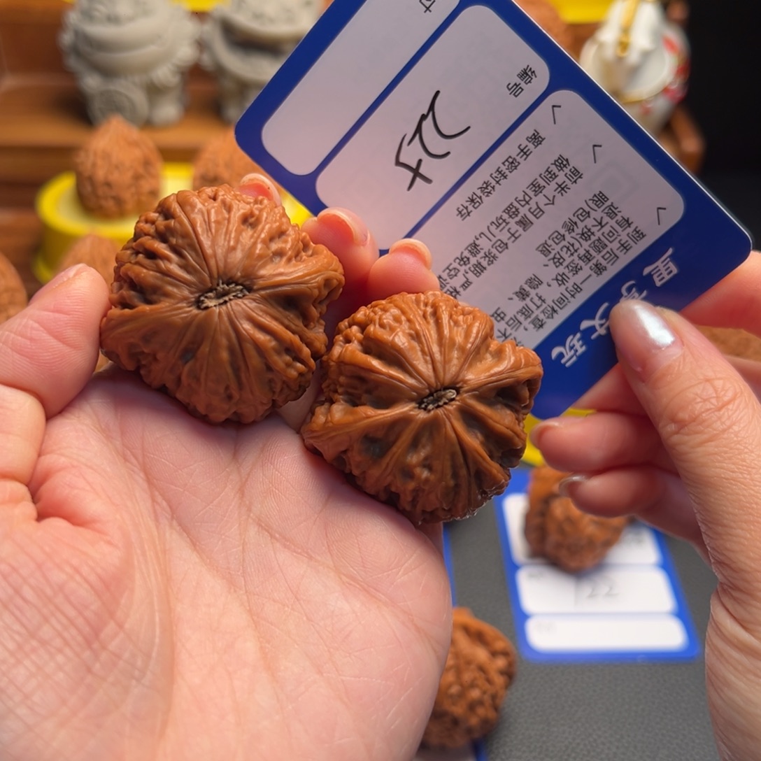 你***？核桃225铁锤妹妹 