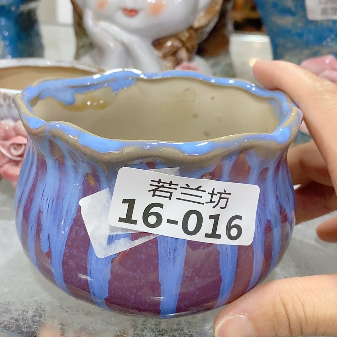 【闪购商品】红陶1616