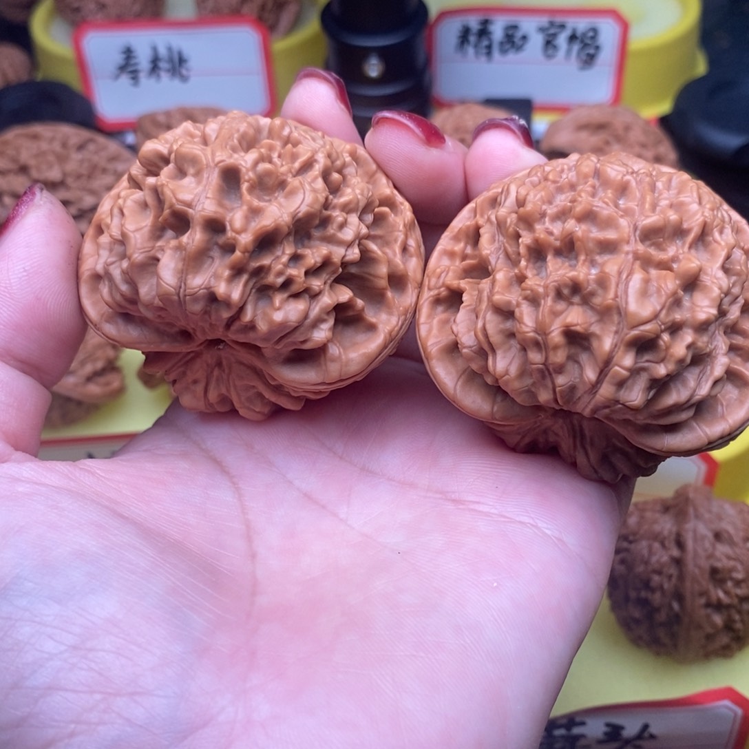 魚***肉菩提籽类官帽王王
