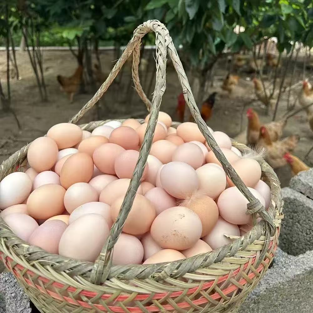 李埝散养草鸡蛋农村散养土鸡蛋新鲜营养适合孕妇