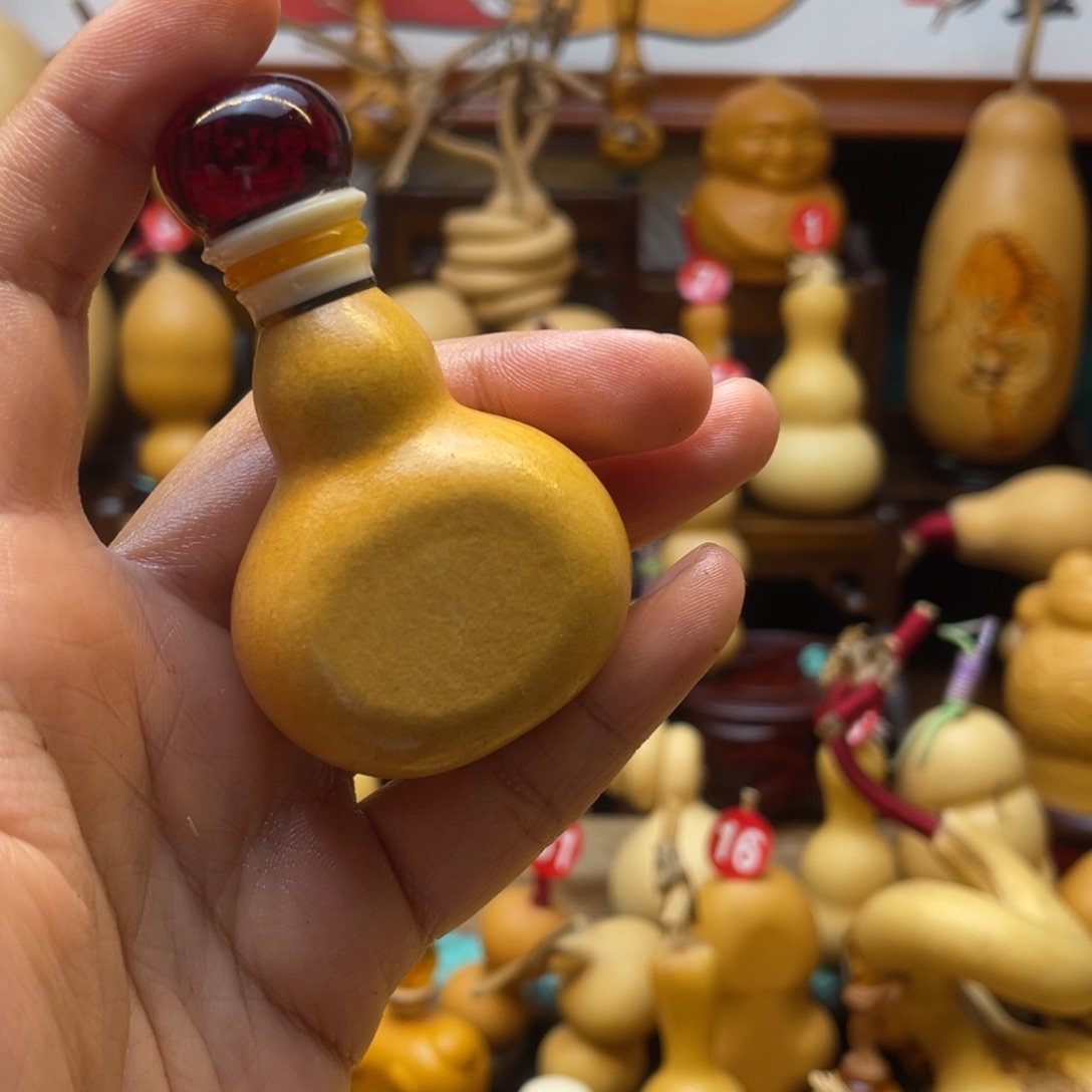 初*葫芦等多种经济作物的栽培技术在