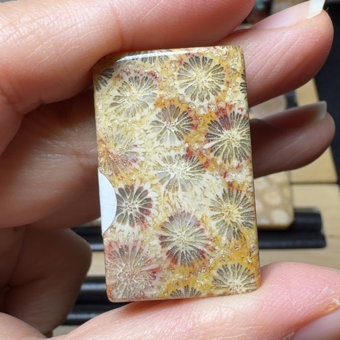 硅化玉紫红黄大花满花，可盘未镶嵌