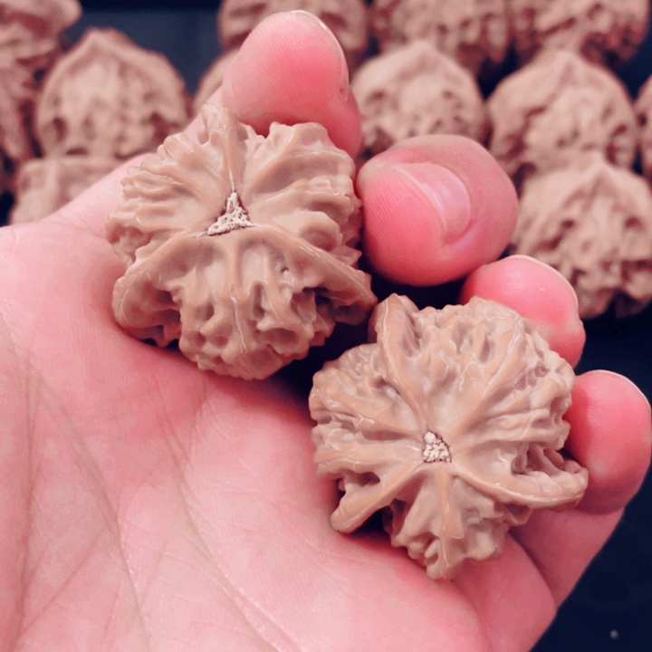 *****把件文玩核桃盘山三棱丁字型3.4尺寸3.2高全品白茬