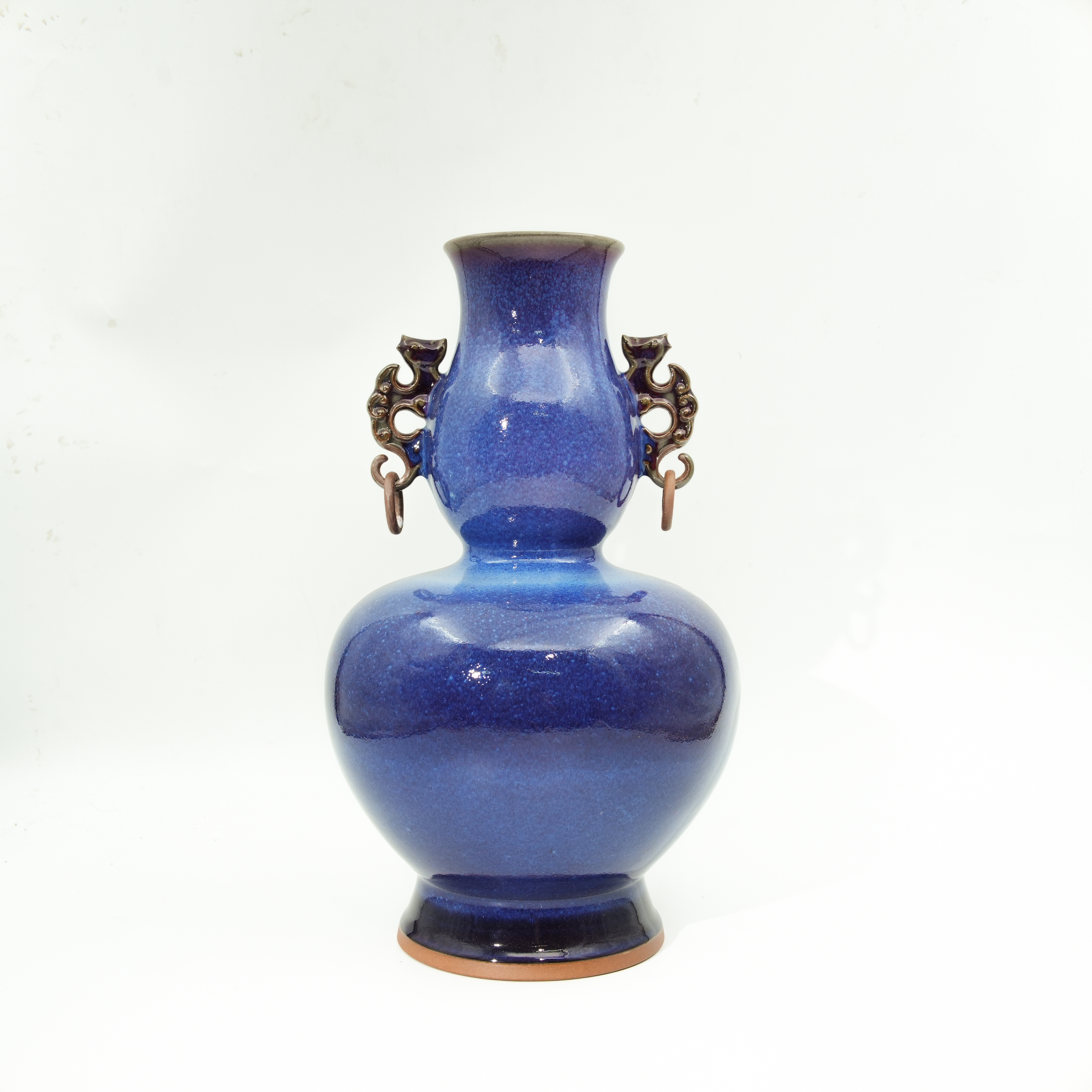 葫芦活环瓶-任星航-国大