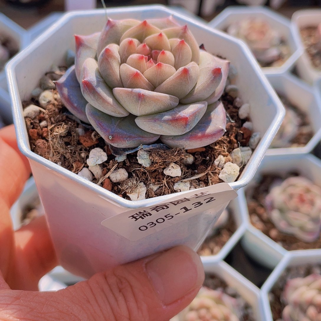 000000000000132量的