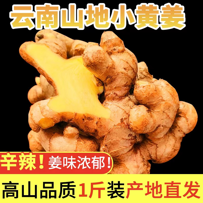 云南罗平小黄姜老姜生姜正宗新鲜农家现挖山地土姜月子姜产地直发