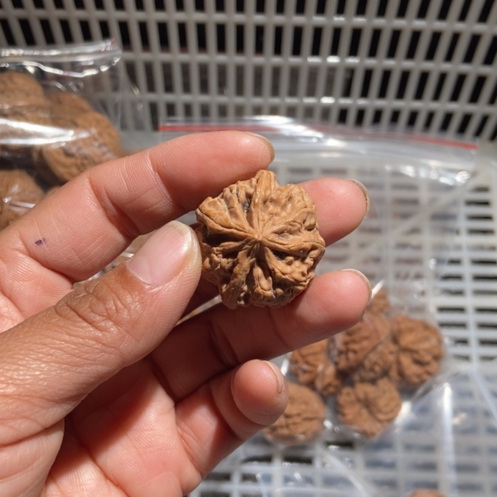 刘***生核桃小四棱尺寸32全品