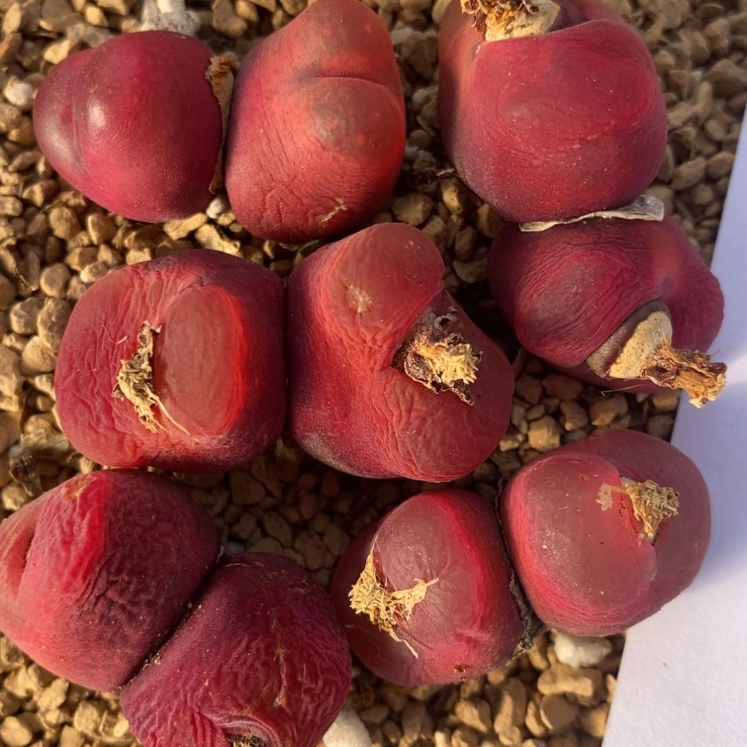 814一组一组一组