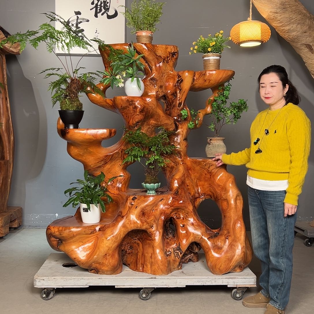 用***0香樟木整体无拼接