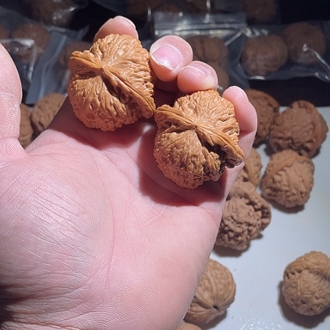 吊坠文玩核桃白狮子