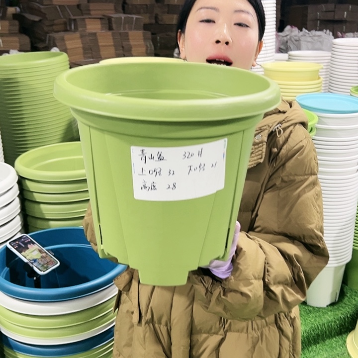 清仓青山口32高28果绿5只无托