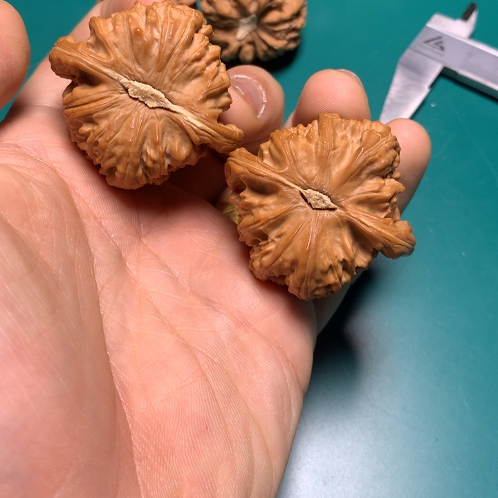 把件文玩核桃W**为白狮子