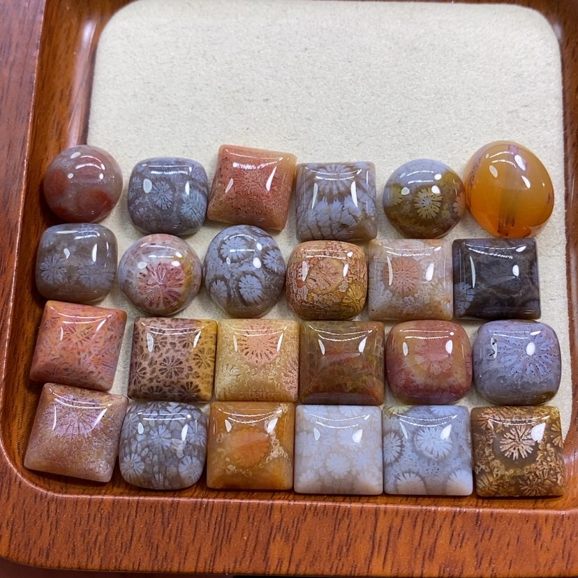 【闪购商品】硅化珊瑚（珊瑚玉）颈饰未镶嵌K7