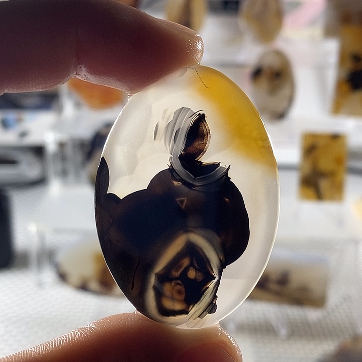 伊***5玛瑙/玉髓未镶嵌颈饰