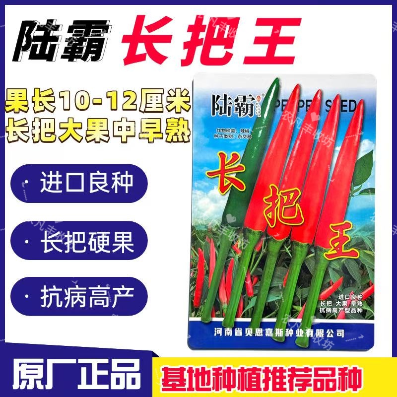 国外进口杂交长把王辣椒种子口感好速生长高产单生朝天椒小米辣种
