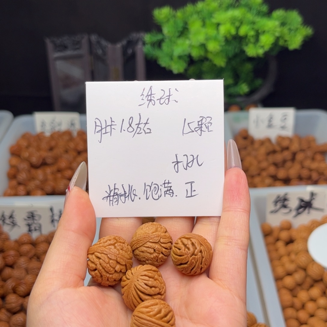 文玩核桃手串坐***时1.8左右野生籽