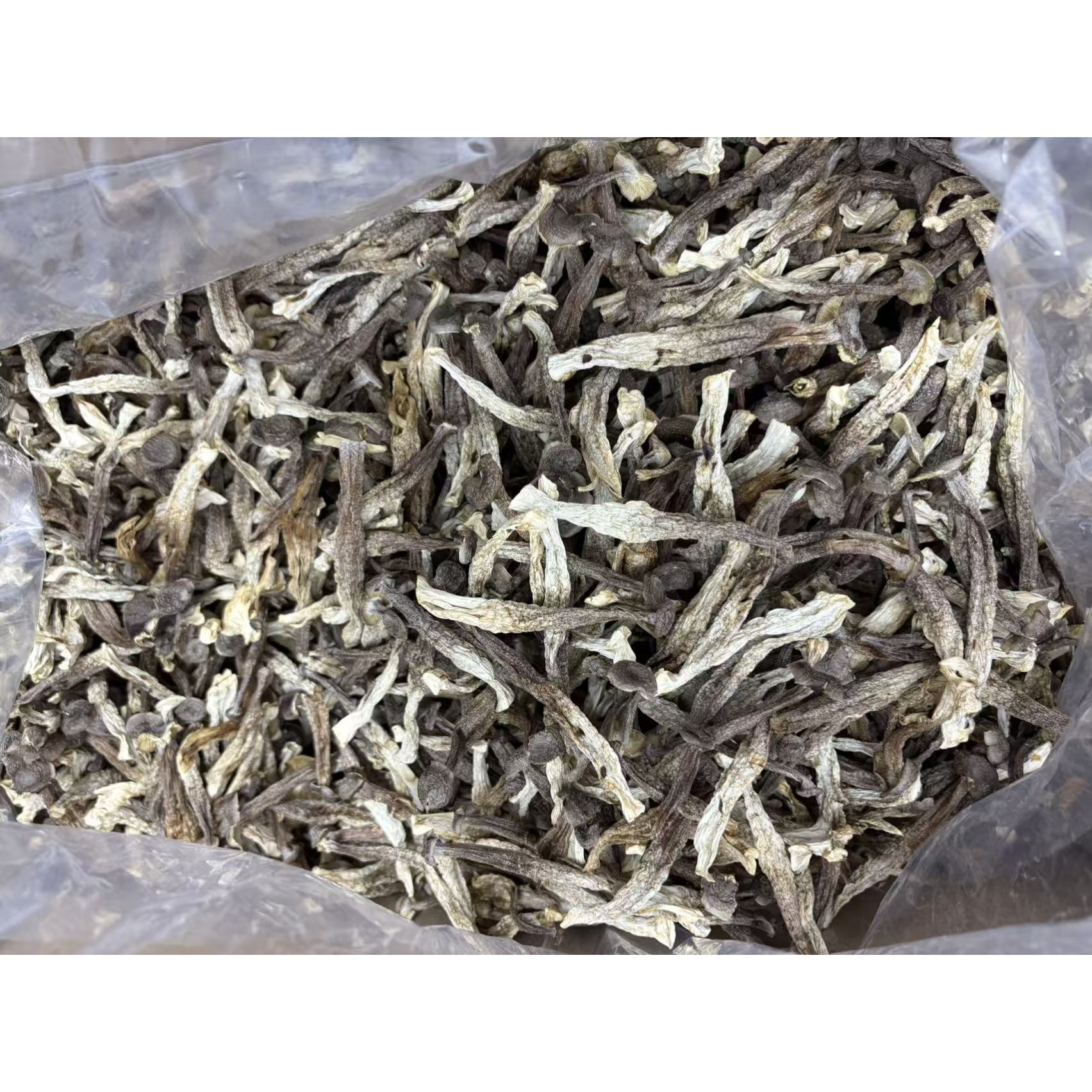 鹿茸菇干货新货天然无硫煲汤食材可干锅爆炒鲜美可口
