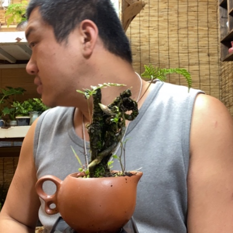 红陶一物一拍所见即所得163