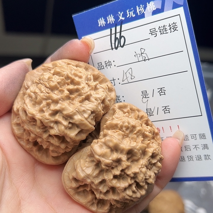 文玩核桃吊坠核桃树166