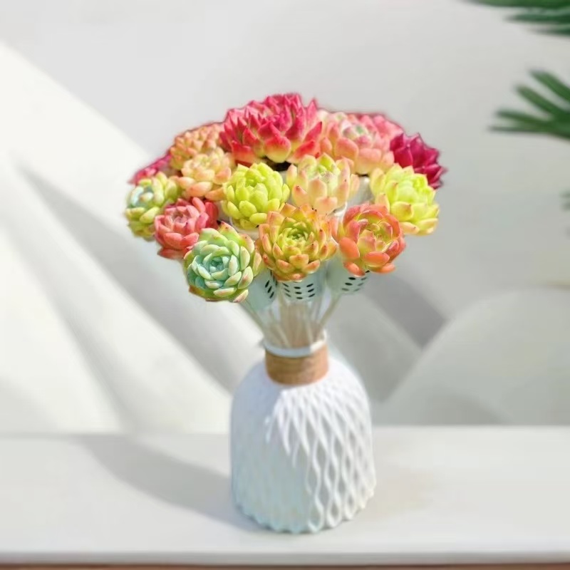 无土栽培多肉花束含花盆20枝装