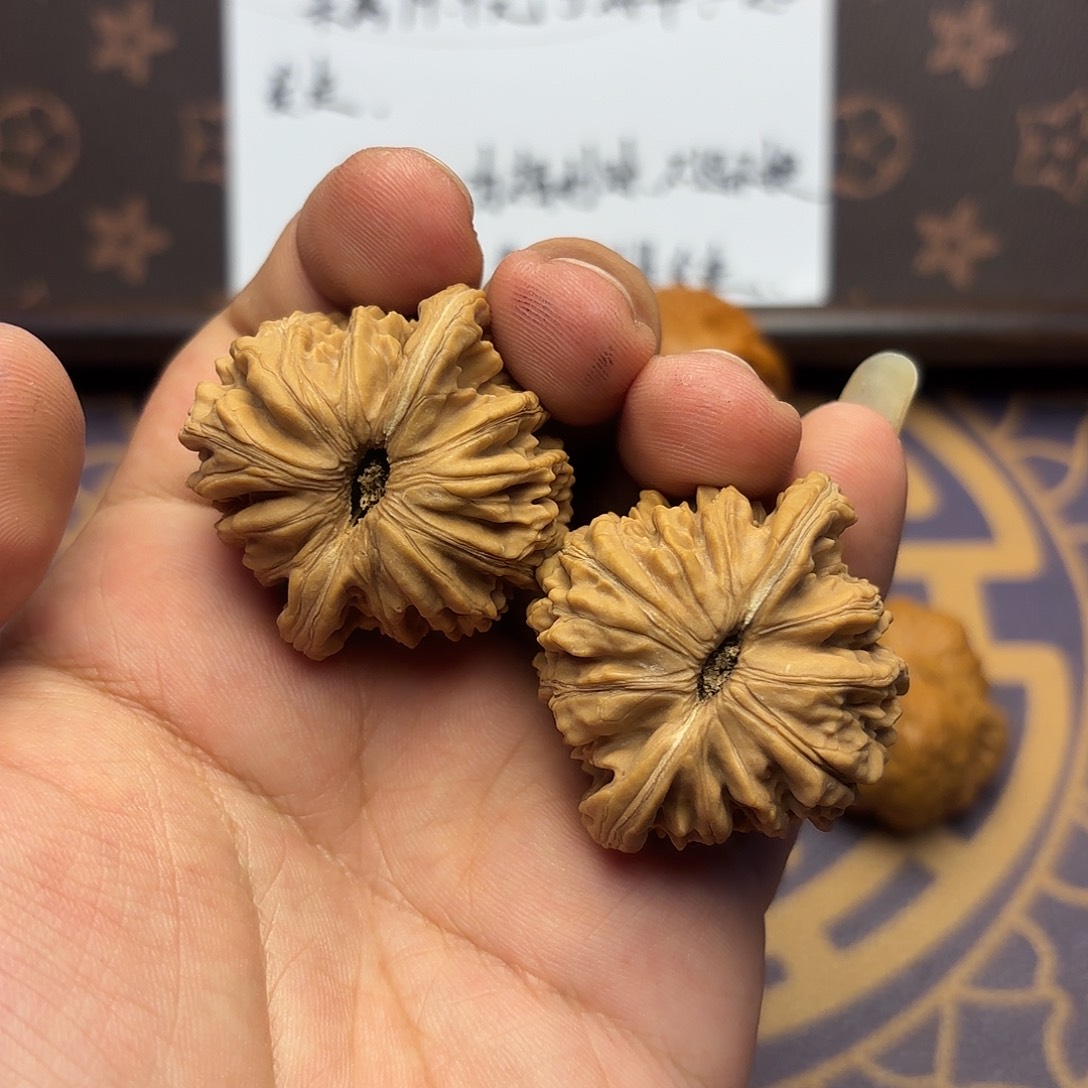 核桃05号 福利。四座楼