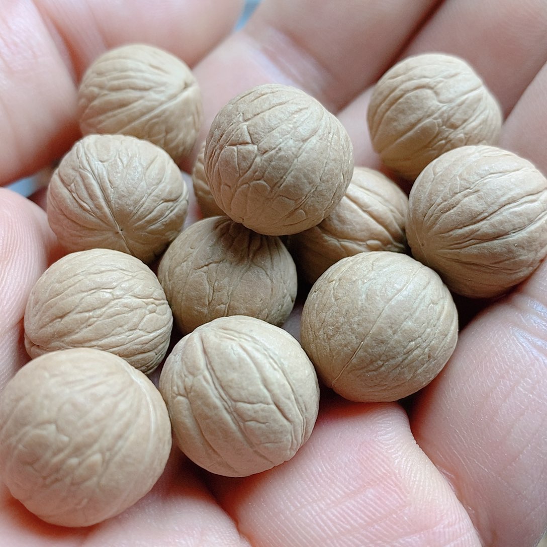 聚宝盆16尺寸50颗，打孔