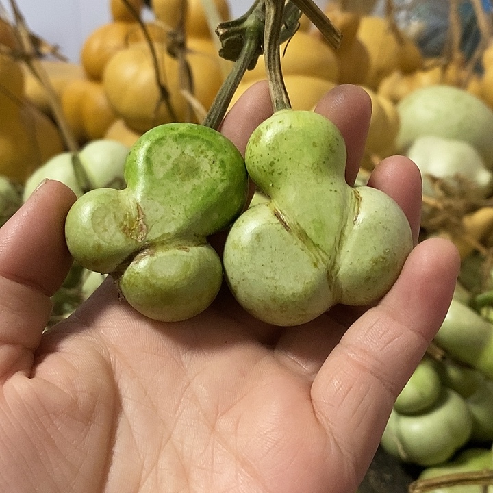 葫芦的颜色是蓝色的