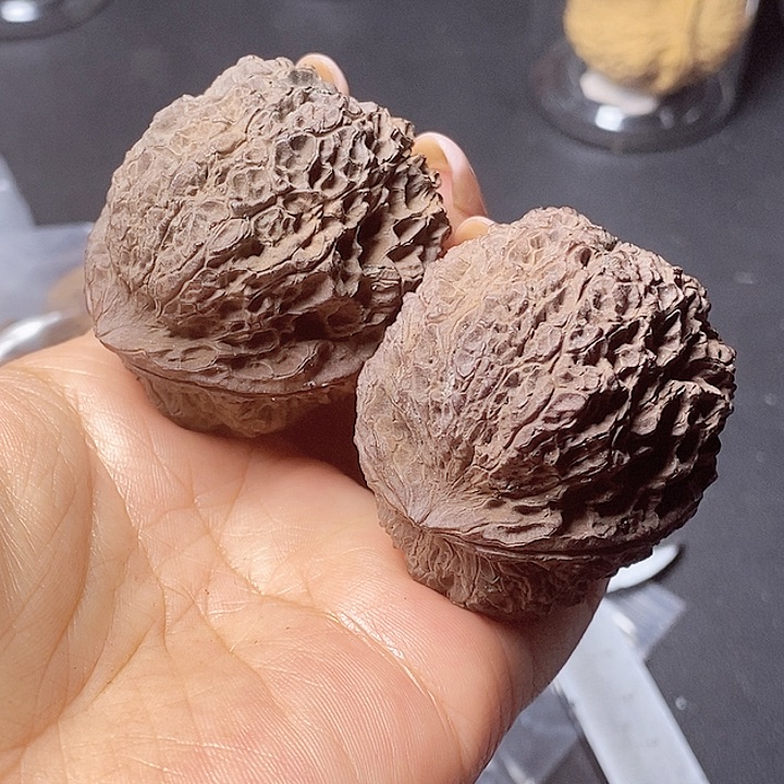 把件文玩核桃61-45mm