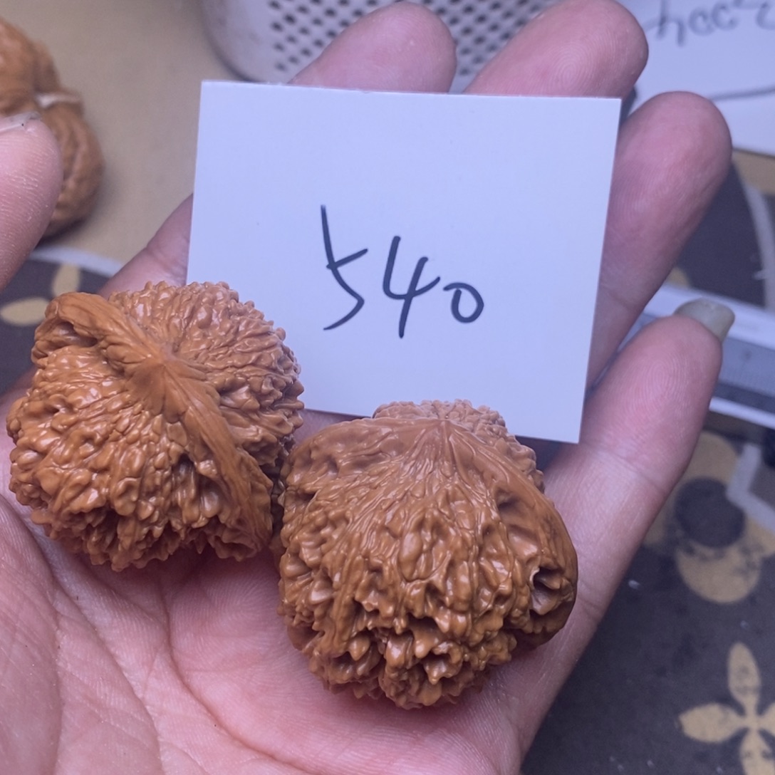 核桃满天星尺寸39