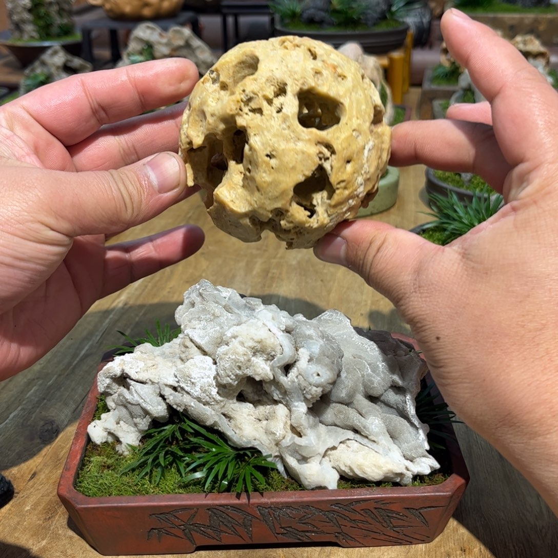 留***忆紫砂花盆➕附石菖蒲