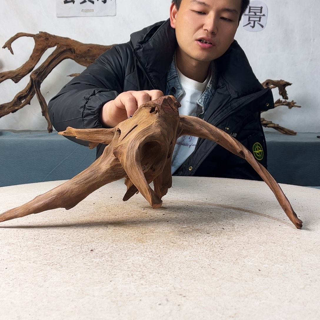 新年快乐沉木造景