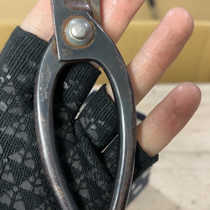 禹***衡你在干嘛呢我在洗衣服呢我在