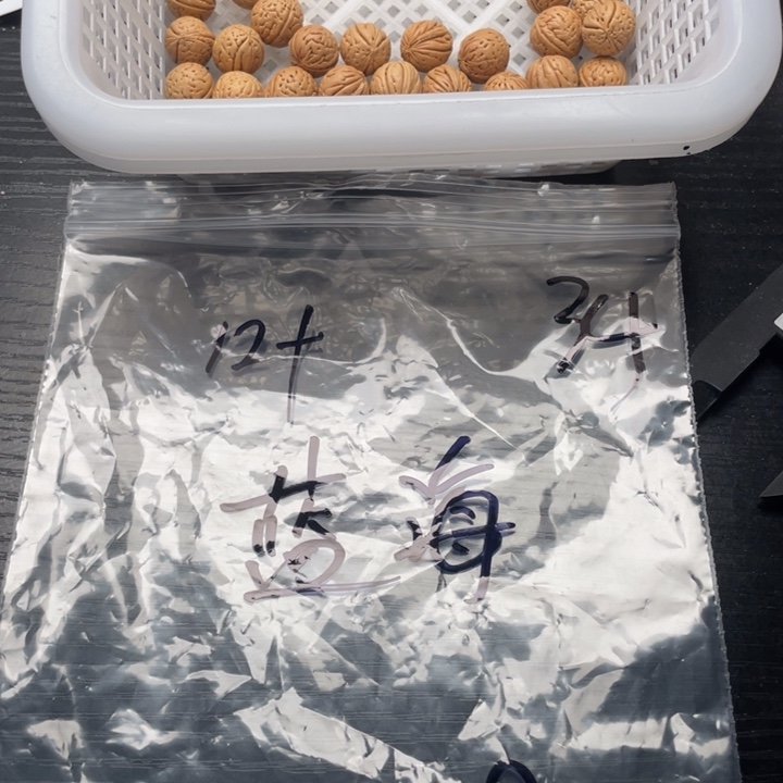 *****小桃核散籽批发30