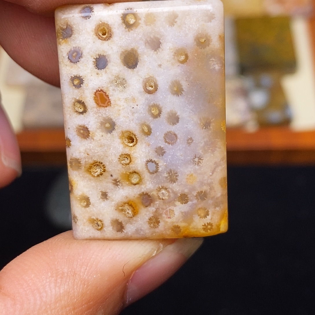 茗***硅化玉合金珊瑚玉