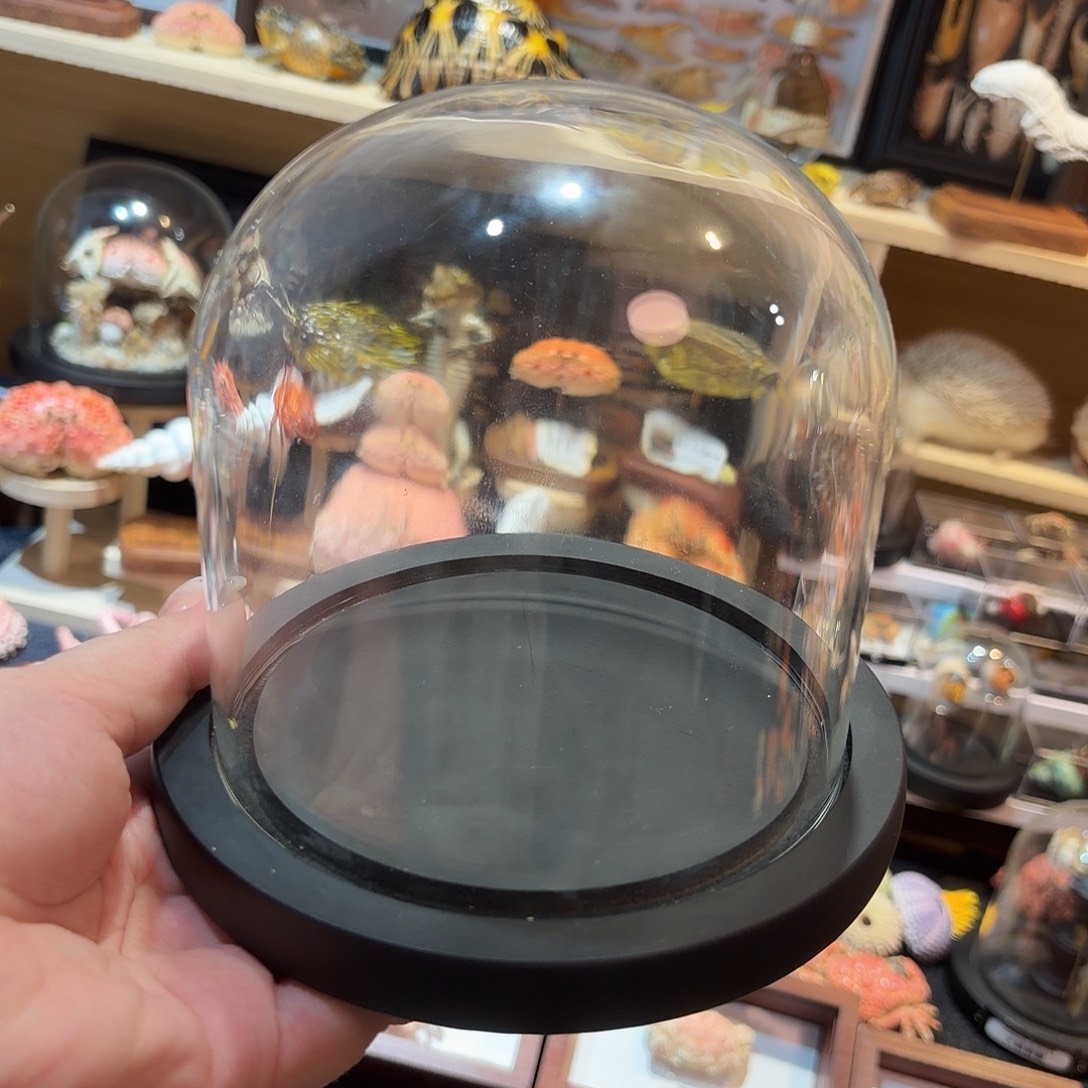 逍遥馒头蟹玻璃框