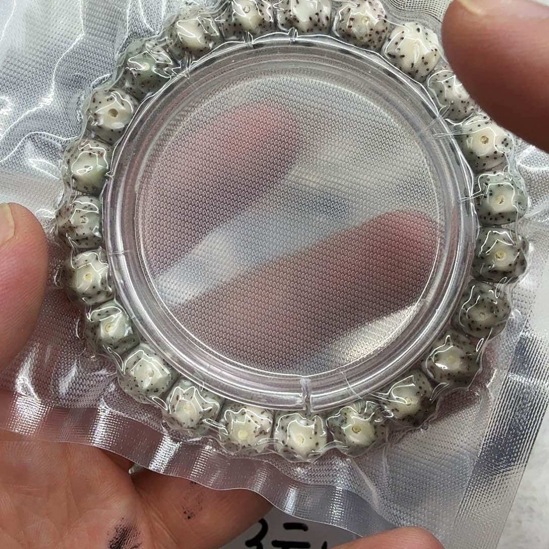 星月菩提手串6灭火糯冰星月菩提单圈无相1.0