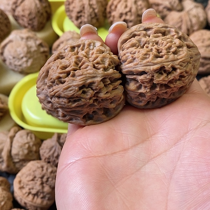 不**荽41全品三角将无修无修无修