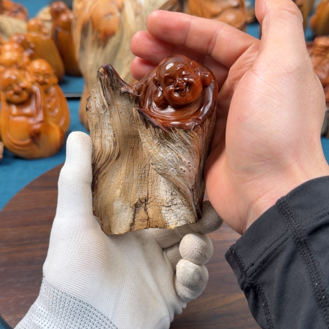 柏木（崖柏）太行崖柏