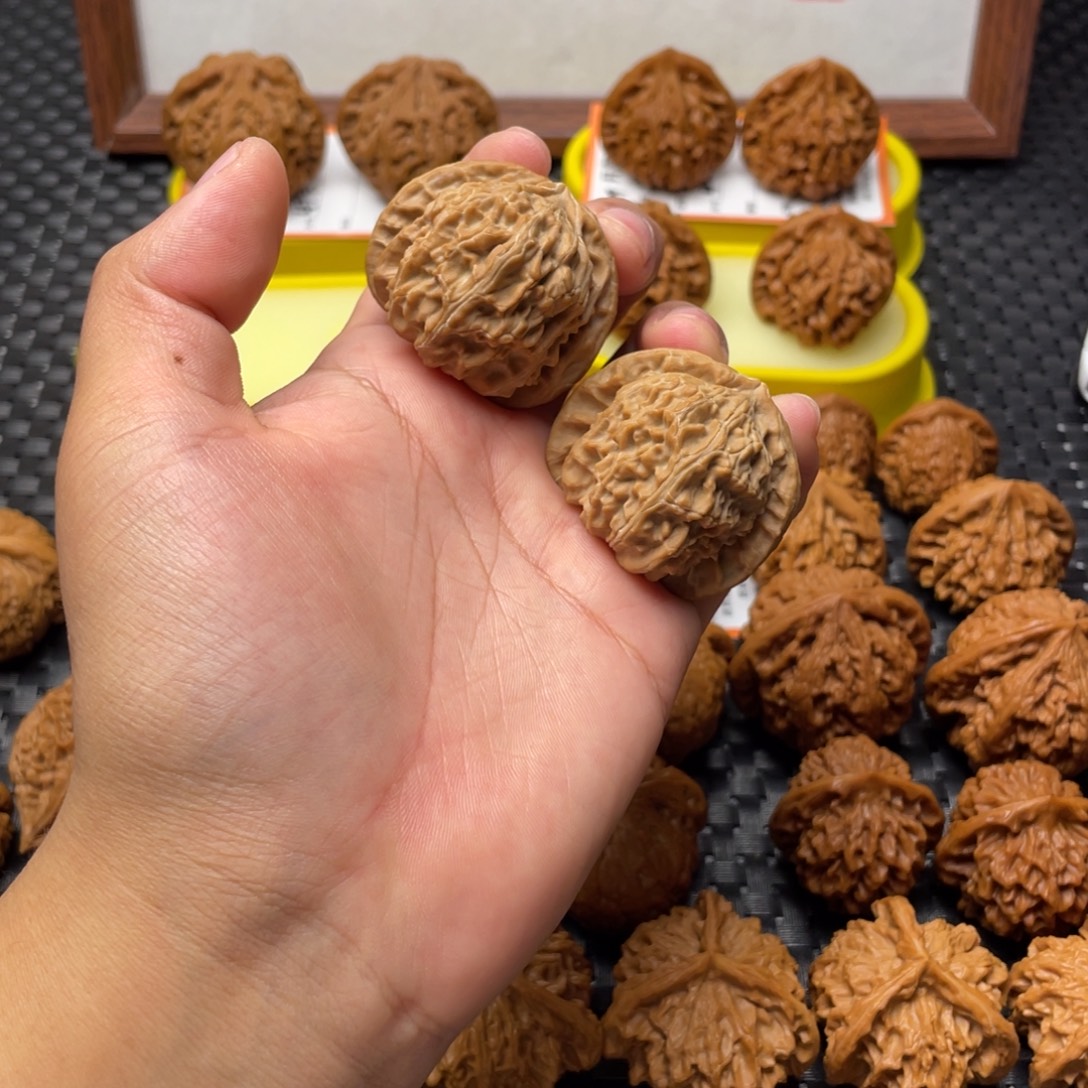 把件文玩核桃三角白41➕全白茬