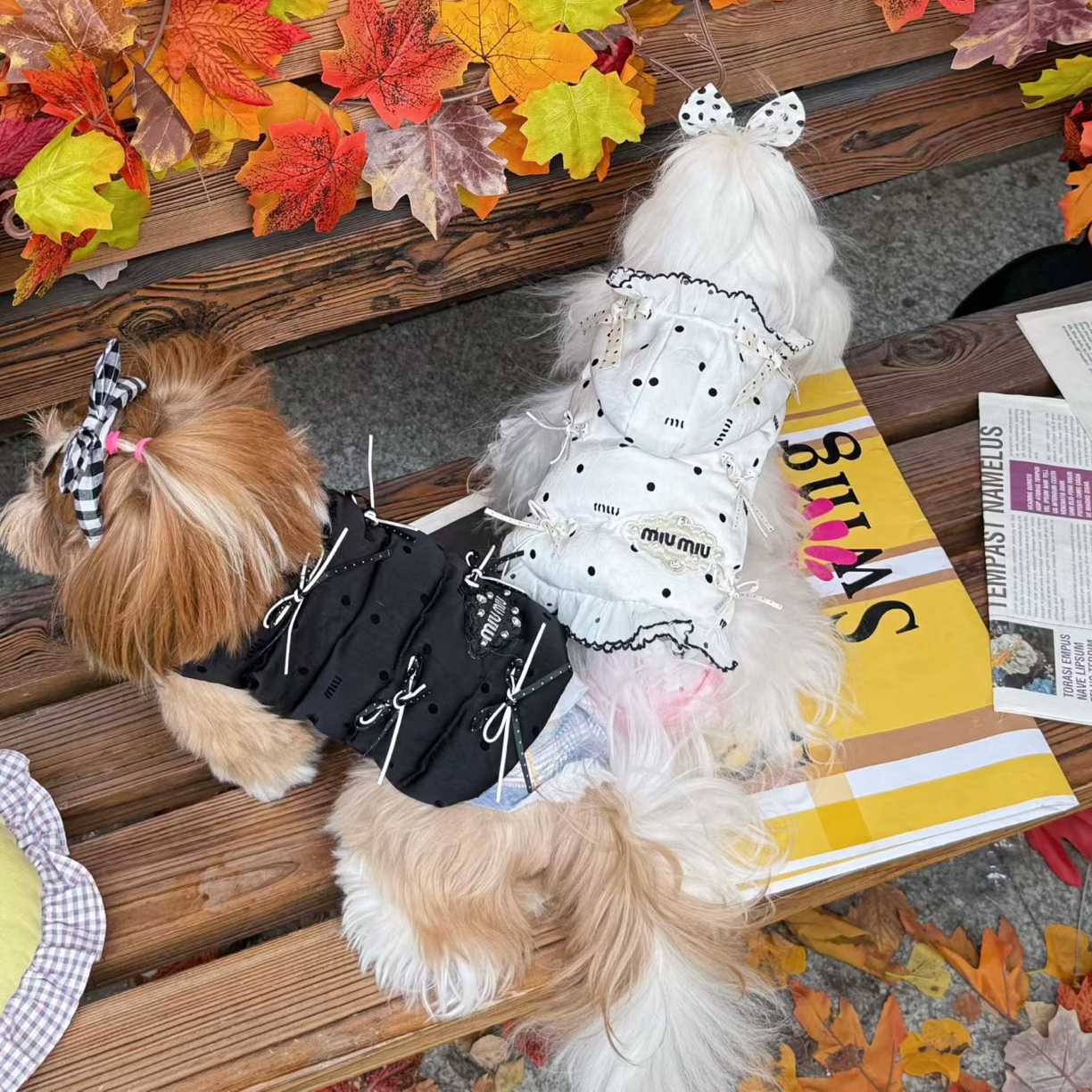 宠物猫猫狗狗 鹅绒羽绒服 直播间过款No退no换