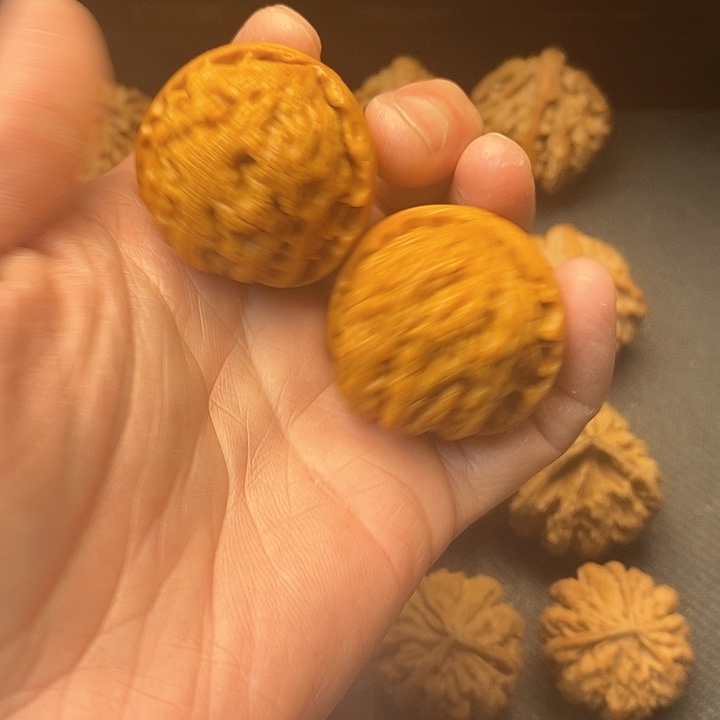 我是一只小小鸟地域鬼